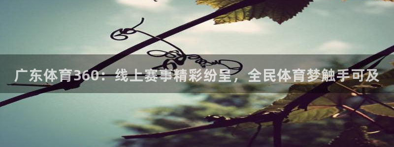 广东体育360：线上赛事精彩纷呈，全民体育梦触手可及